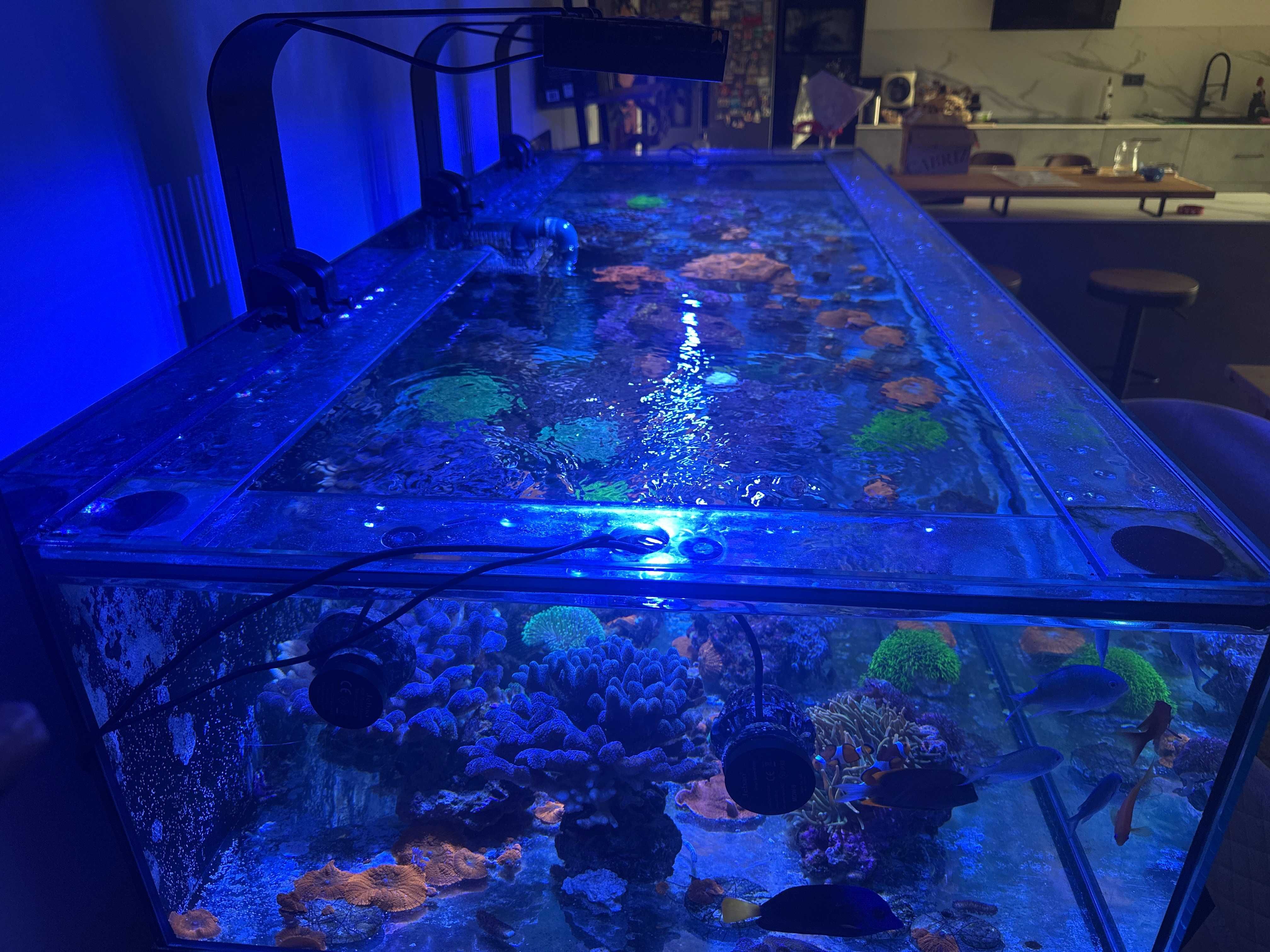 Vendo Aquario Grande 2 metros
