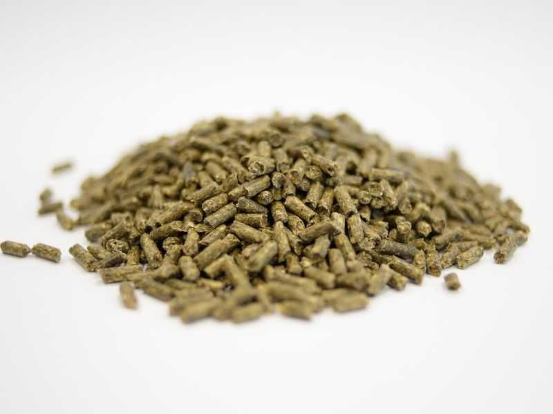 Pasza królik z kokcydiostatykiem 25 kg granulat Hurtownia Pasz Święte