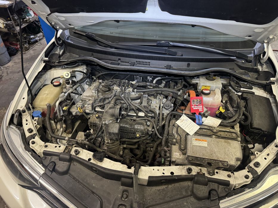 Elektryk i mechanik samochodowy, diagnostyka, chip-tuning, DPF, EGR.