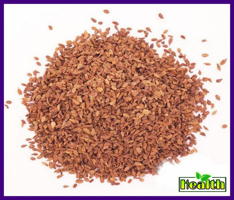 Морковка дикая семена 500гр