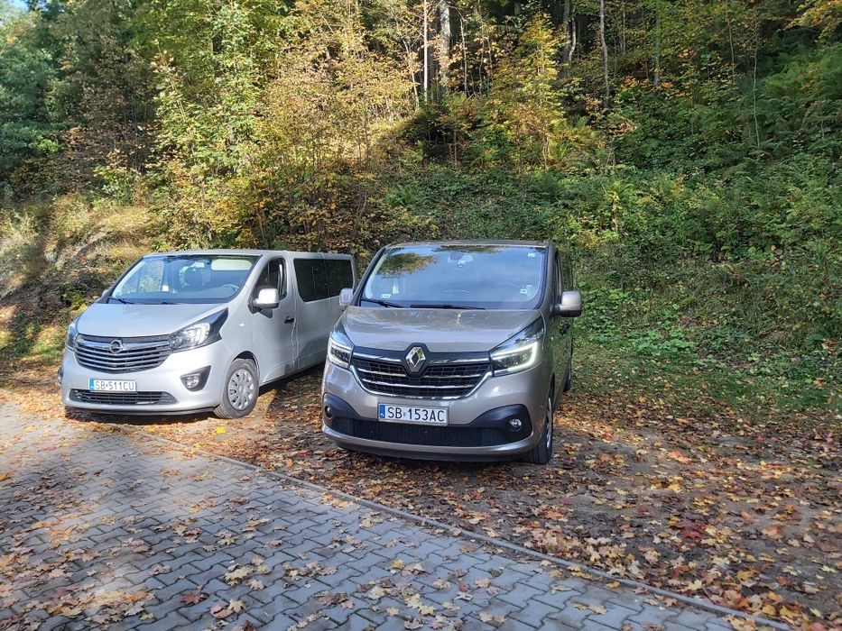 Wynajem busa wynajem busa busów renault trafic