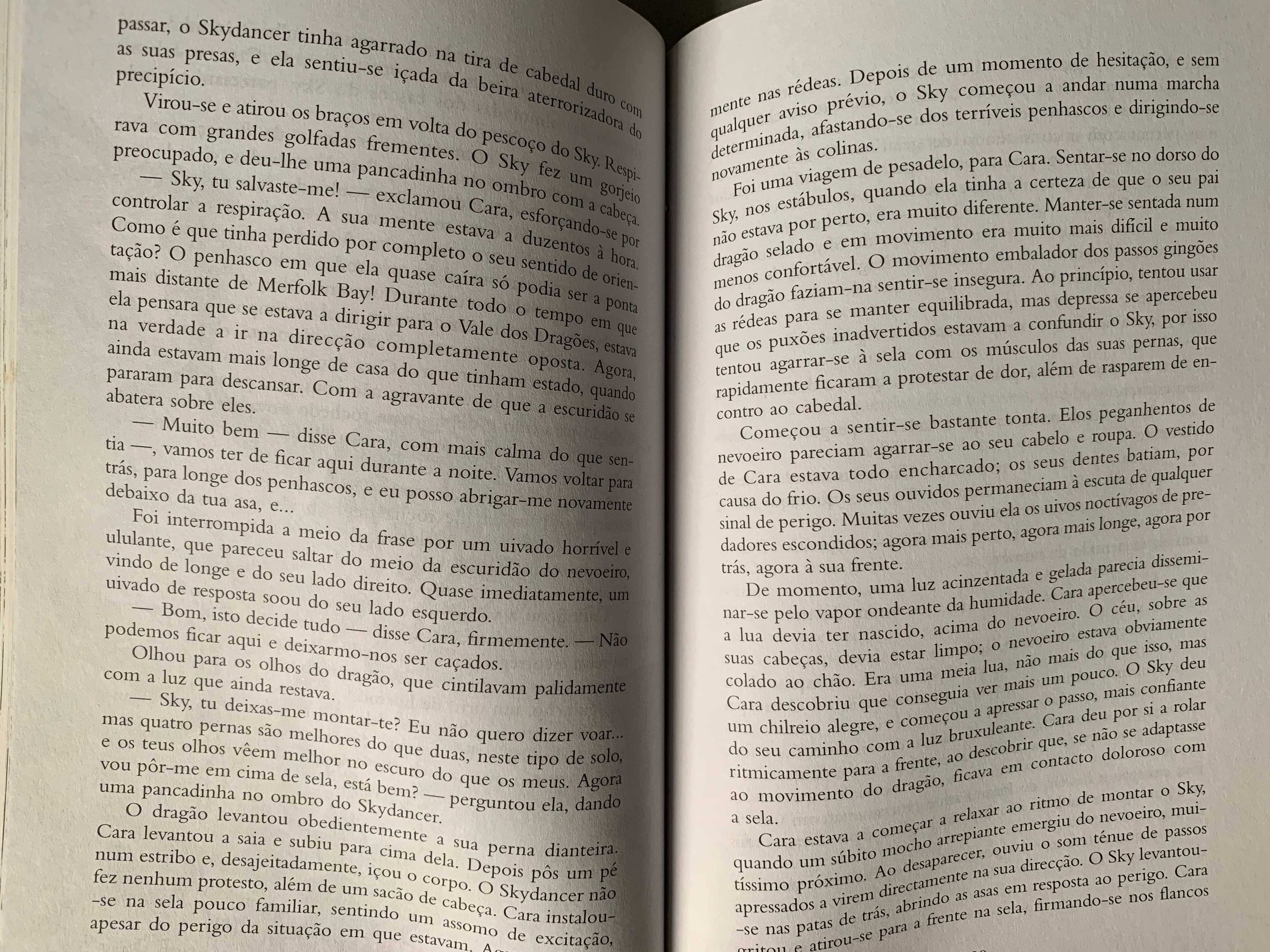 O Vale dos Dragões, de Salamanda Drake