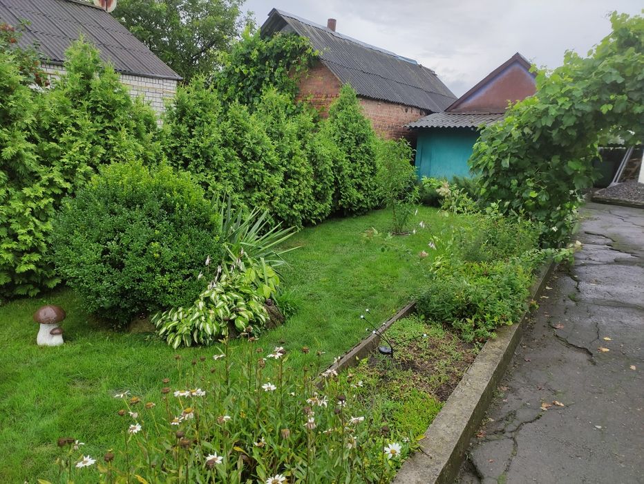 Будинок з присадибною ділянкою