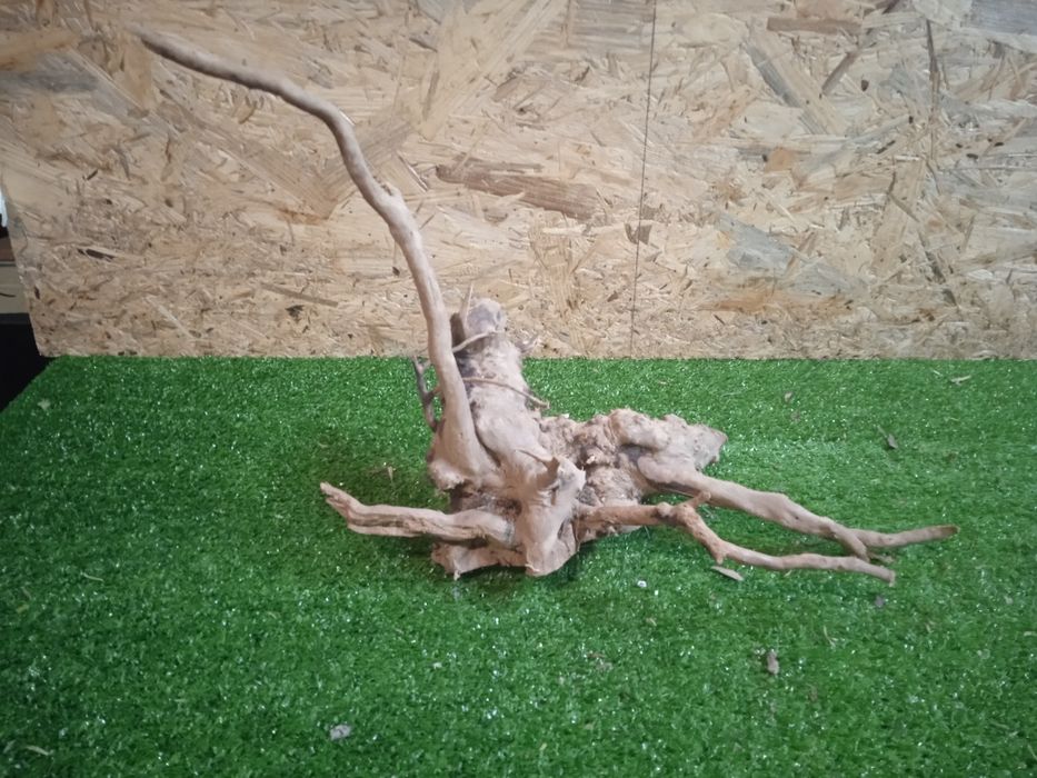 Korzeń do akwarium Red Moore Wood nr 558 o wymiarach 34/15/25