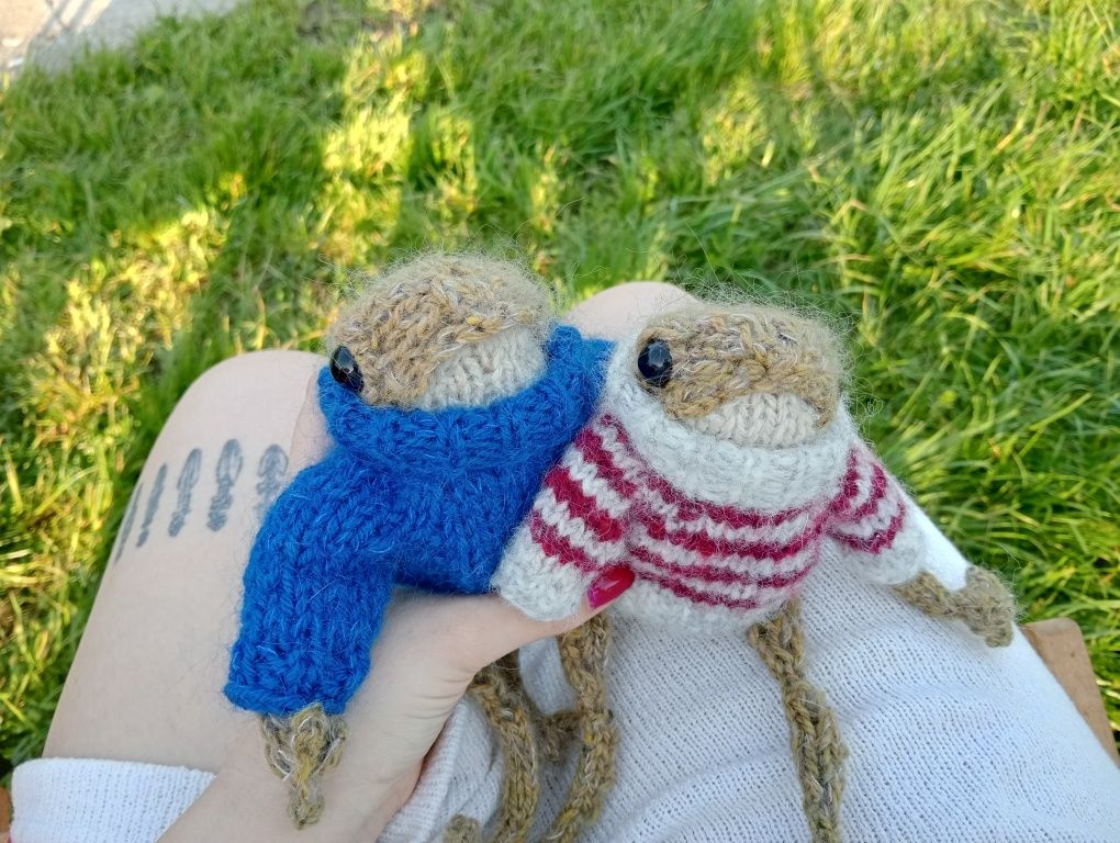 Żaba na drutach handmade w sweterku