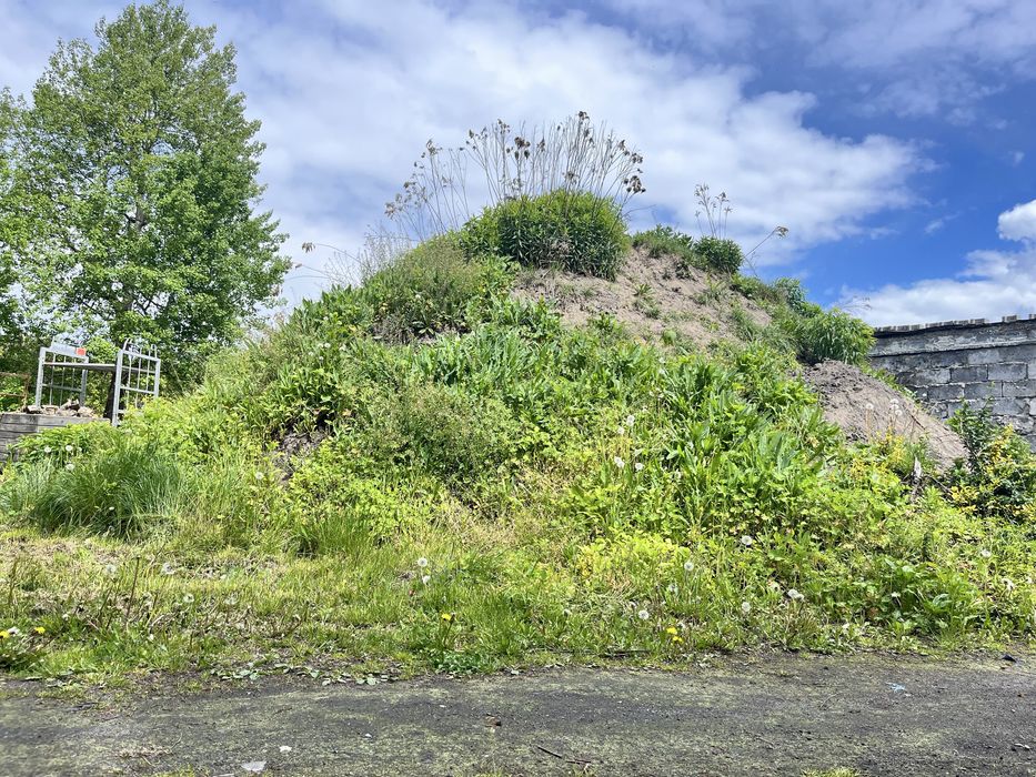 Oddam ziemie Oddam ziemię