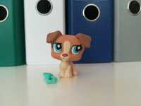 LPS Littlest Pet Shop G2 #1302 Jack Russell Kompletny Zestaw