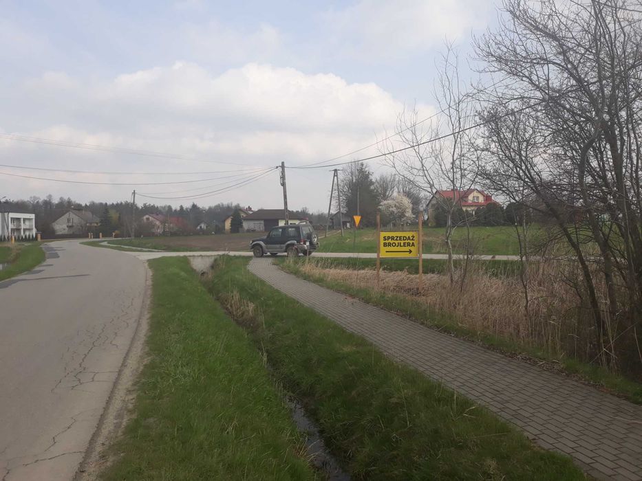 Ferma drobiu w Żarówce - Sprzedam brojlery, kurczaki