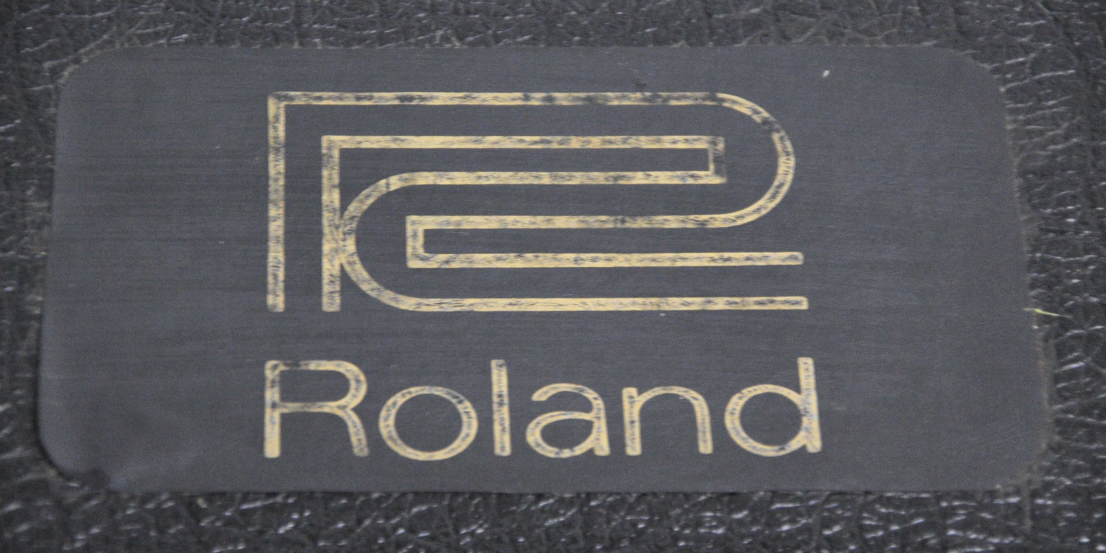 Roland Chorus ECHO RE-301