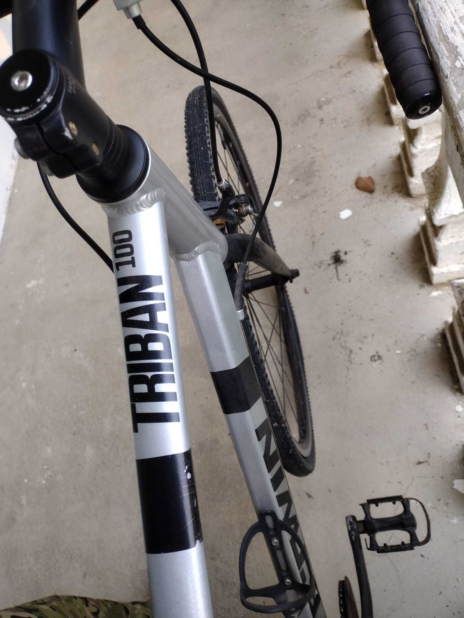 B Twin 100 TRIBAN