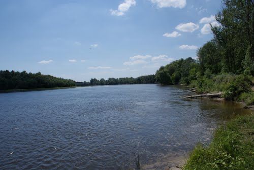 Земельна ділянка 23,5 сотки, с.Евминка, власник, р.Десна, ліс, ТОРГ