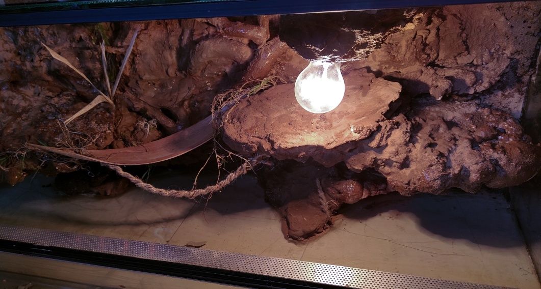 Terrarium dla agama/ wąż/pająk/ skorpion/ gekon