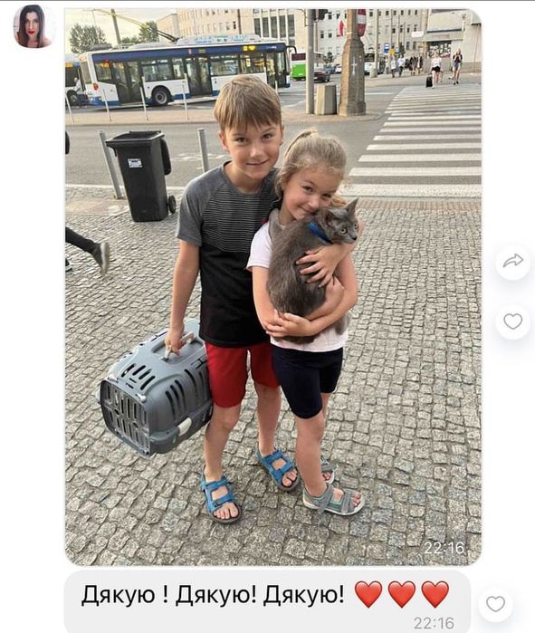 Перетримка тварин / документи для тварин / перевезення тварин