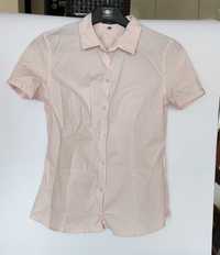 Bluzka koszulowa Montego bladoróżowa rozmiar S