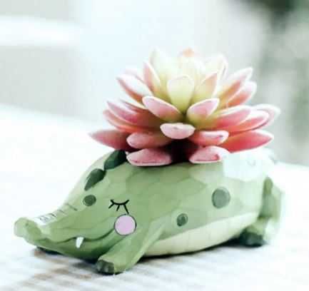 Vasos bonitos para pequenas plantas