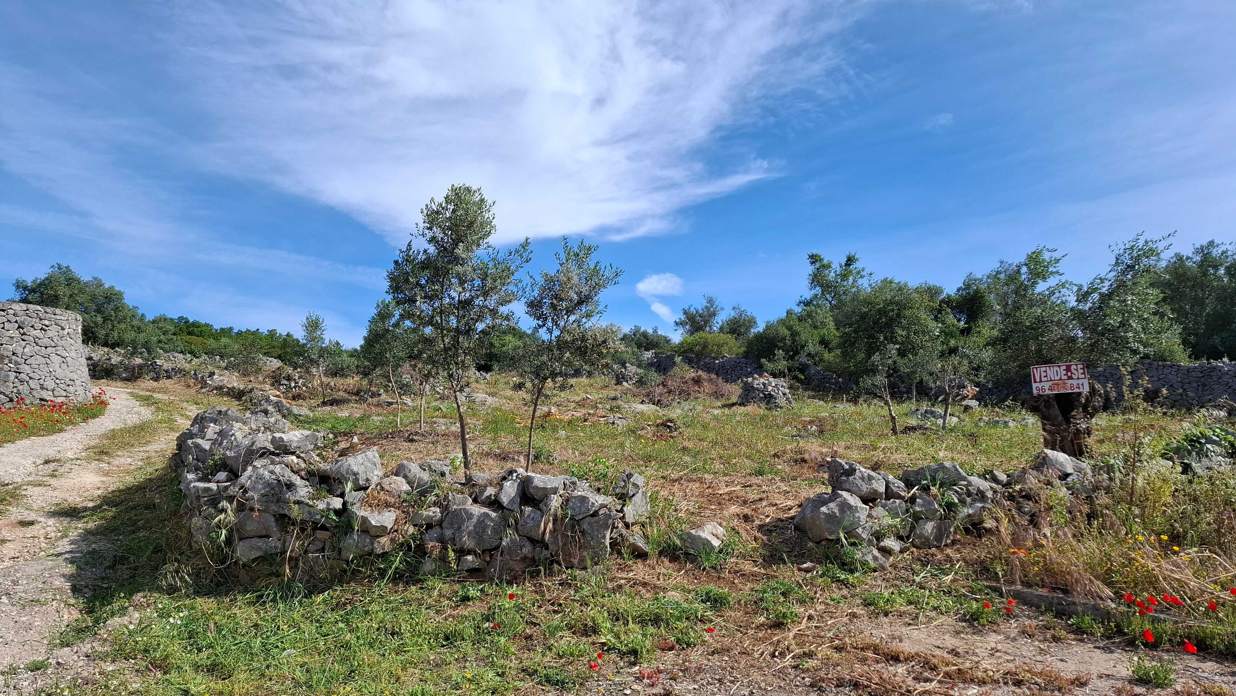 Terreno para venda nos Casais da Moreta