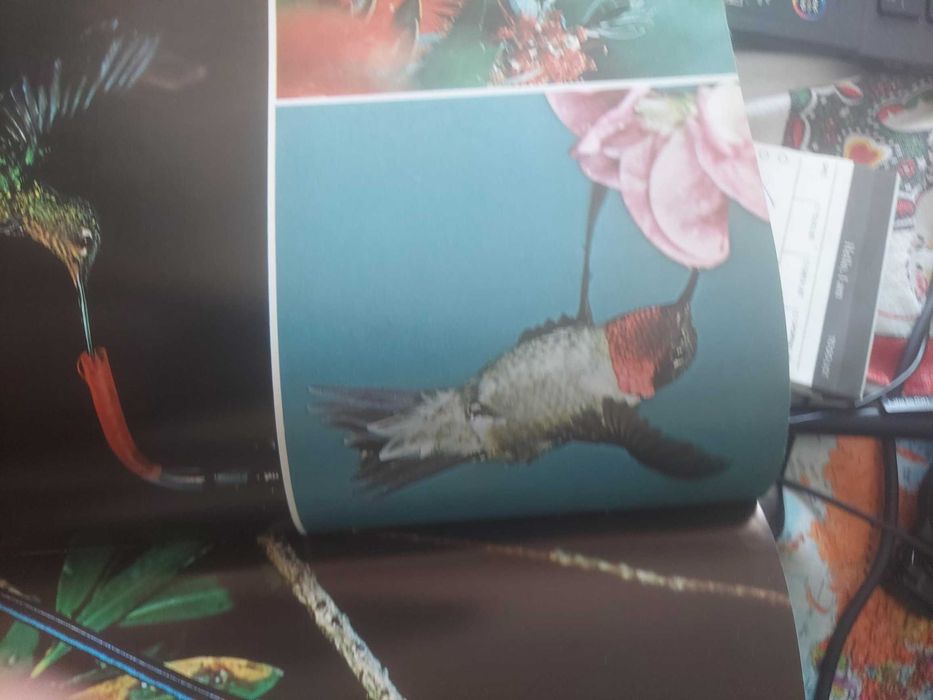 Fauna- Edições Alfa- coleção completa, encadernação de luxo