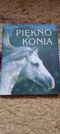 Książka o Koniach