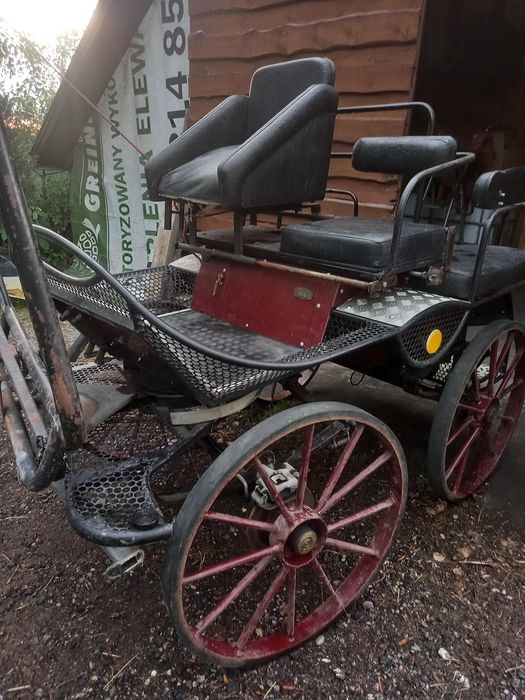 Bryczka konna maratonka