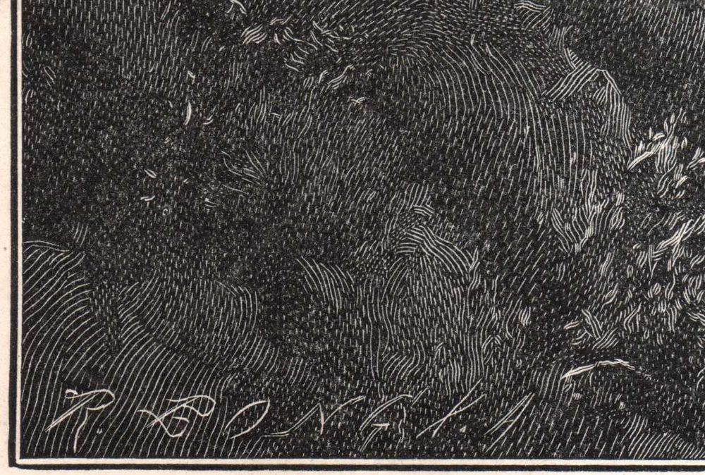 Watson: Owce w górach. Drzeworyt ilustracyjny 1902 r. oryginał