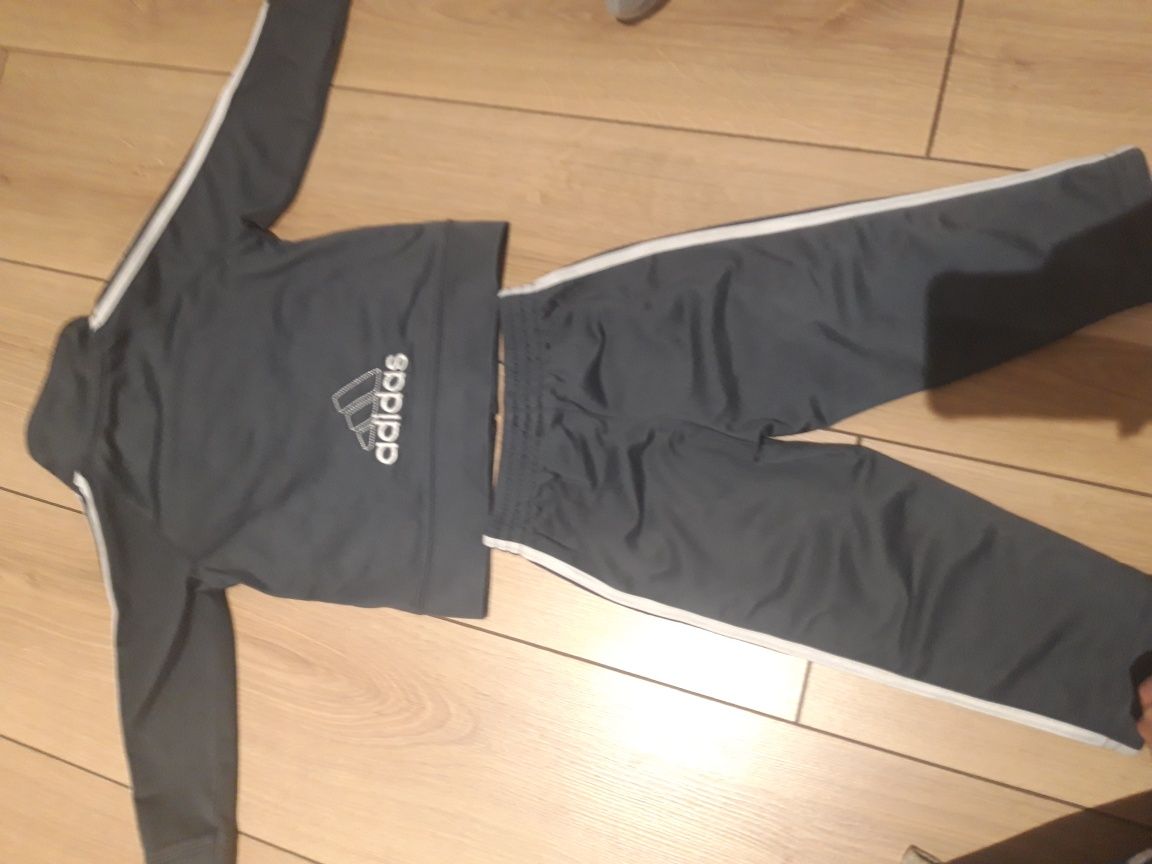 Komplet dres Adidas bluza spodnie 18 msc
