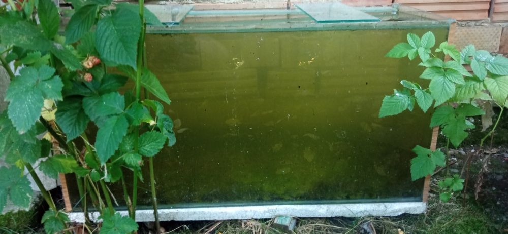 Продам акваріум б/у  140л