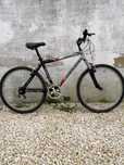 Bicicleta modelo de homem