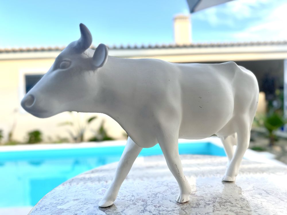 Lote de 3 vacas chacota de grrande dimensao