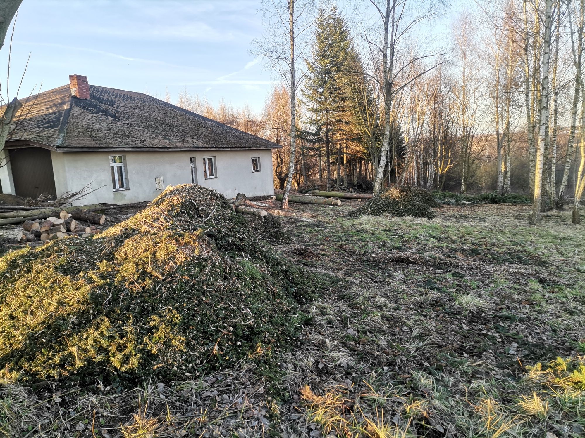 Usługi rębakiem, wycinka przycinka drzew z podnośnika koszowego