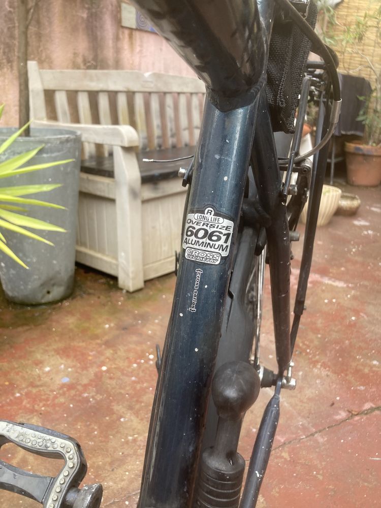 Bicicleta Raleigh