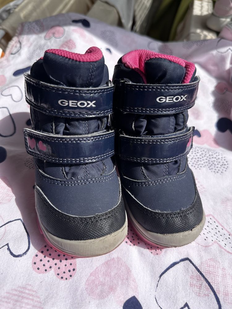 Черевики сапоги Geox 22
