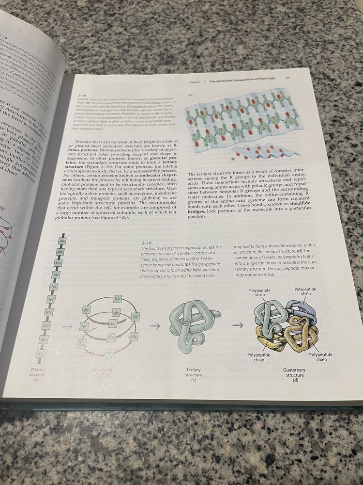 Livro Biology of Plants