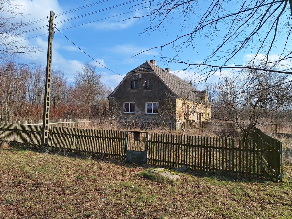 Dom z dużą działką 0,5hektara