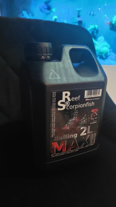 Balling KH Reef Scorpionfish