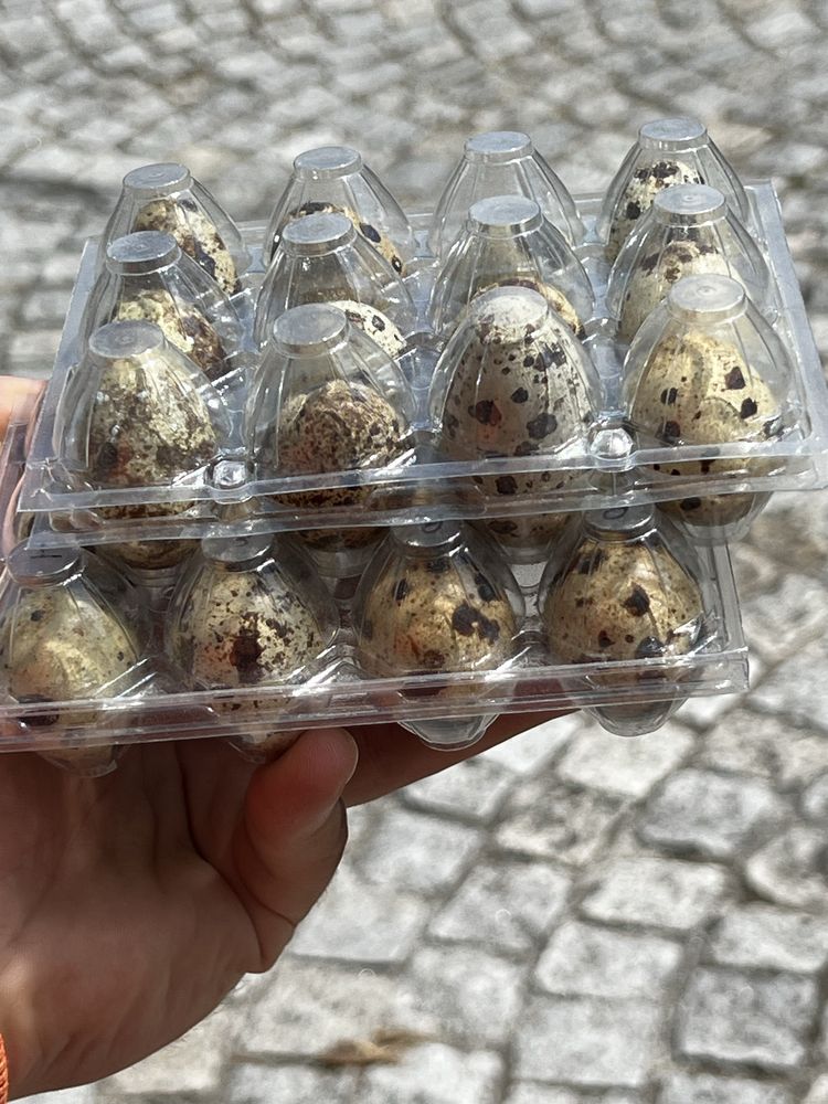 Ovos de codorniz