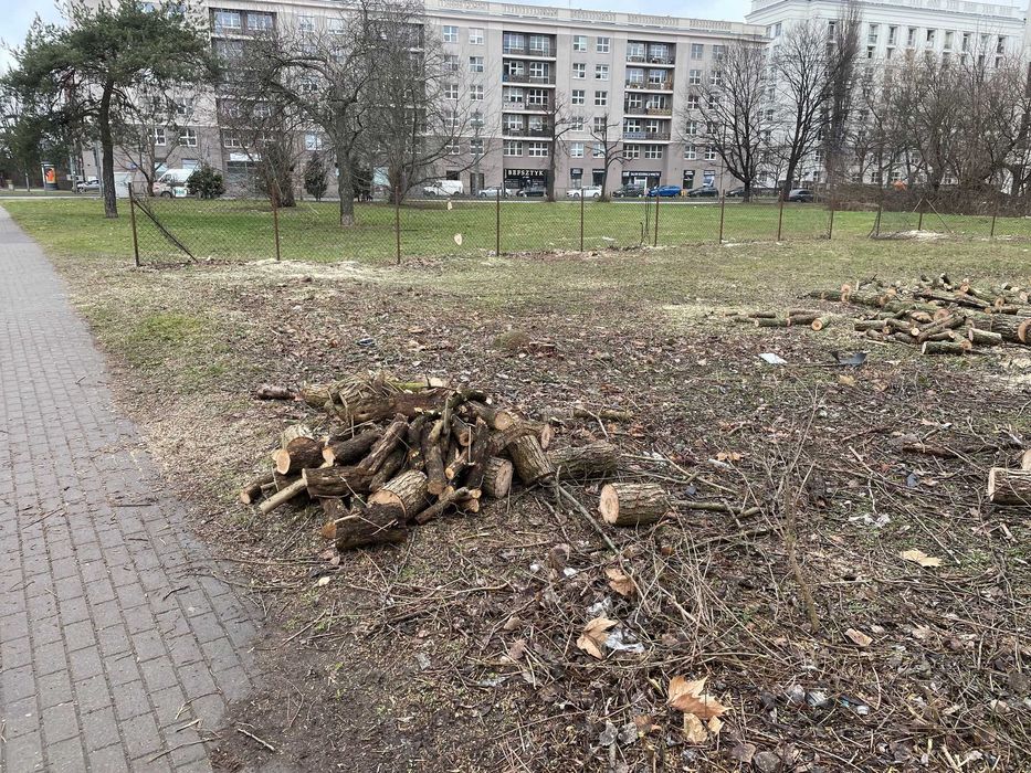 Wynajmę 470m2 plac działka ul Domaniewska Bukowińska choinki stragany?