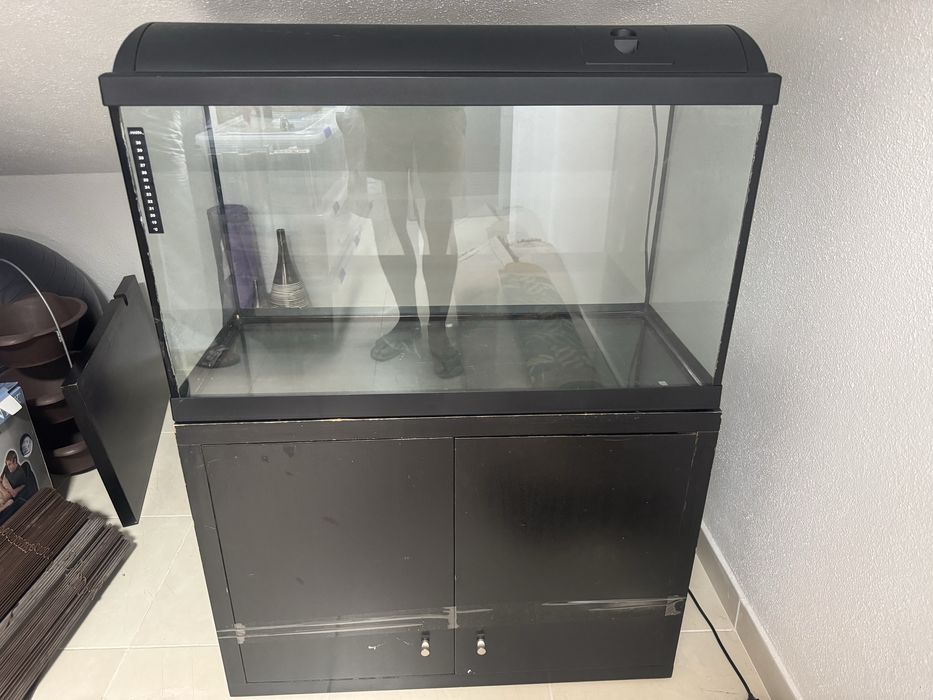 Aquario 100 litros