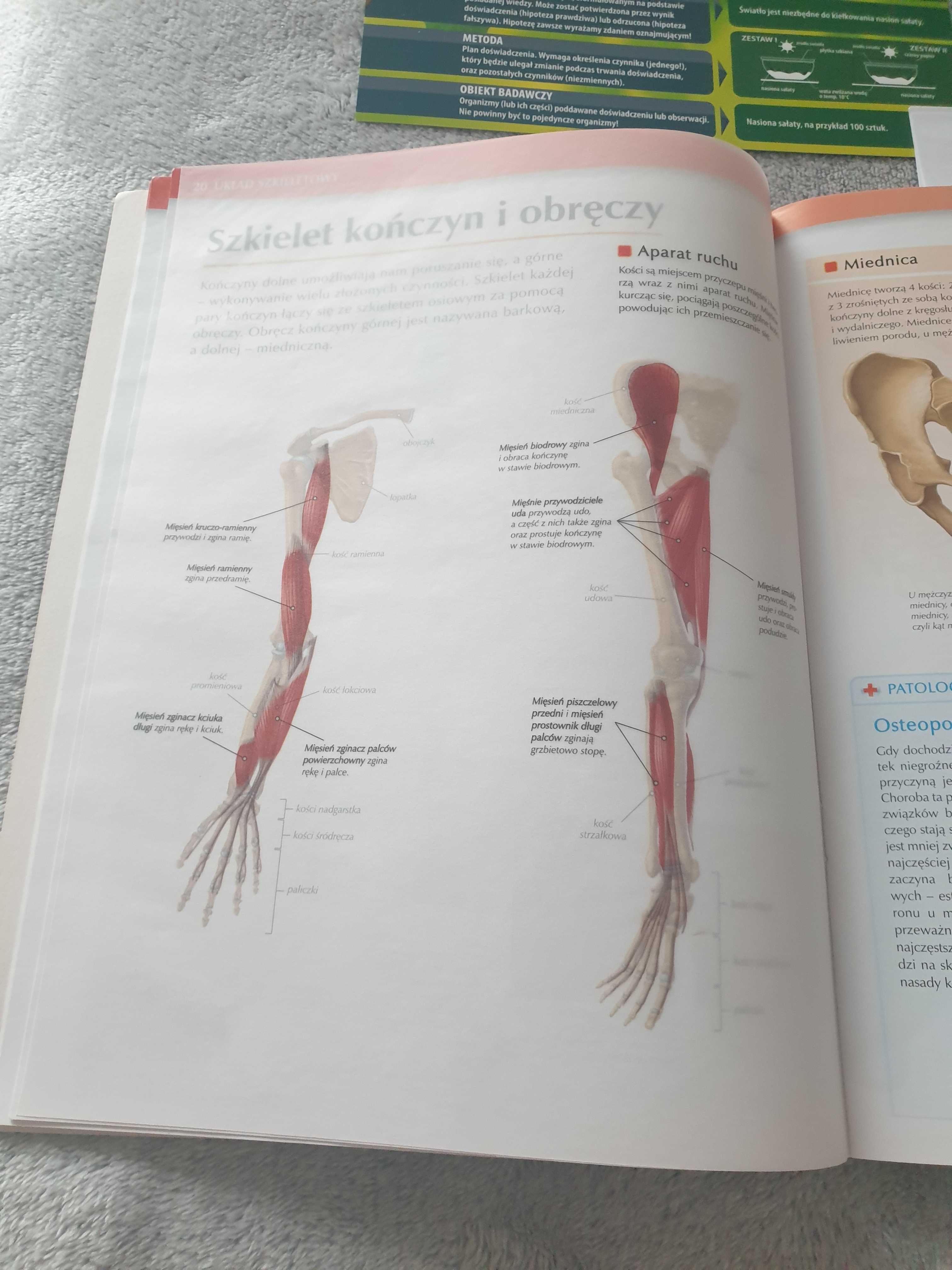 Biologia 3 rozszerzony atlas anatomiczny nowa era tajemnice ciała