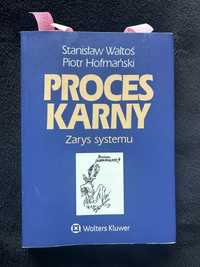 Proces karny. Zarys systemu