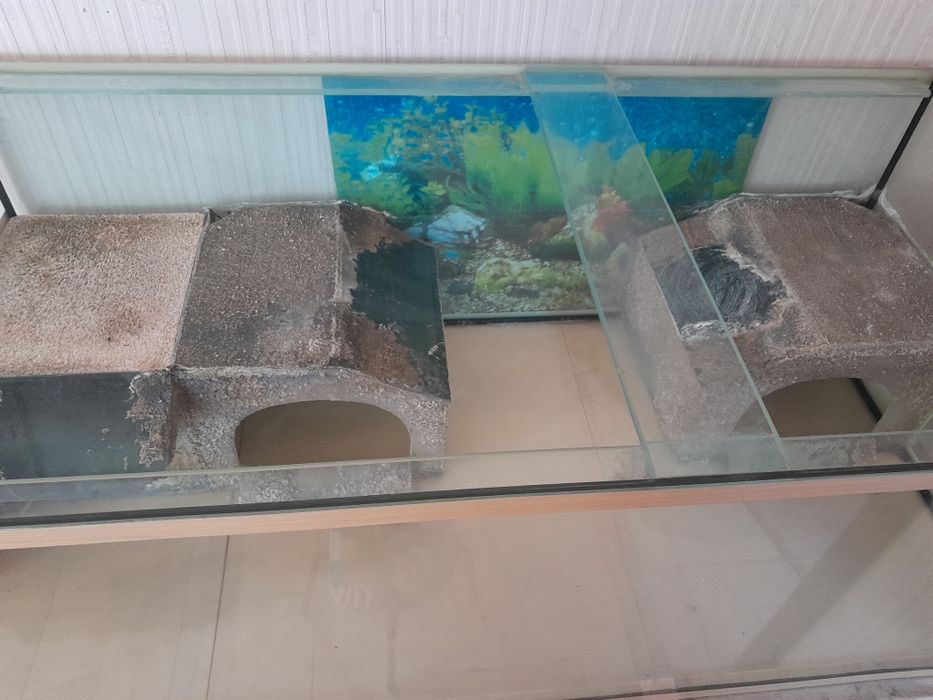 Большой аквариум-терариум.