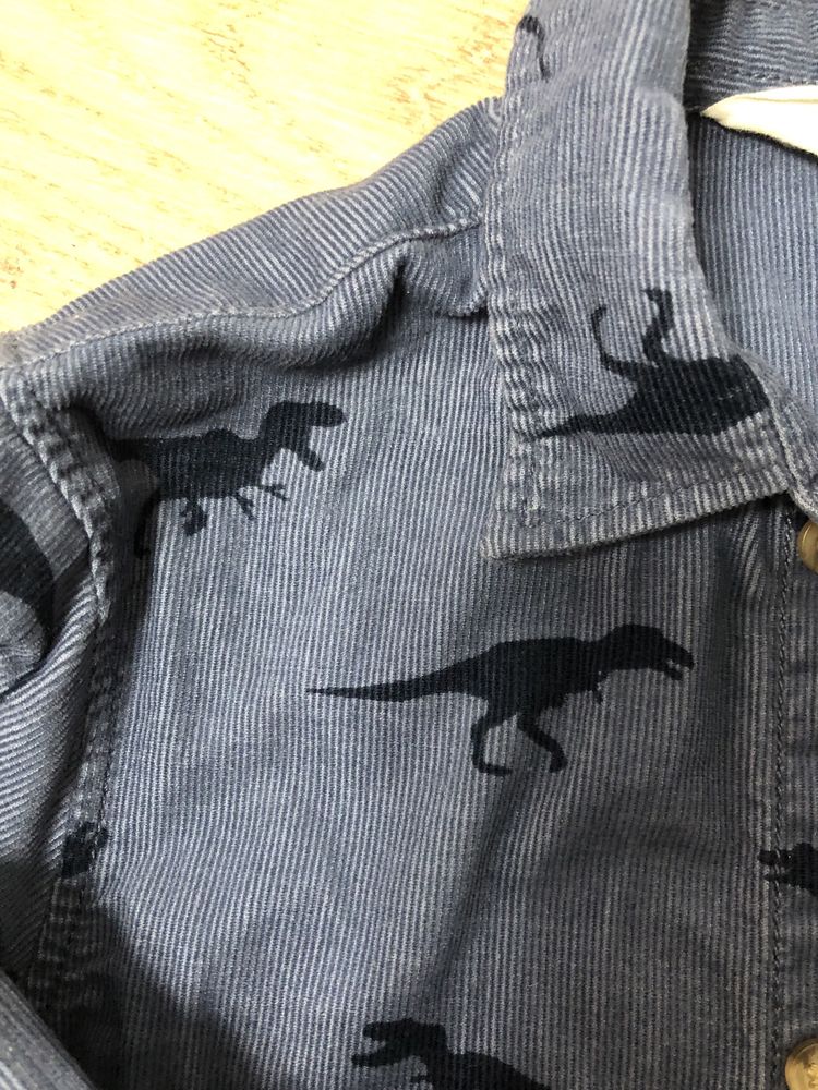Сорочка для хлопчика HM, динозаври 5-6 років