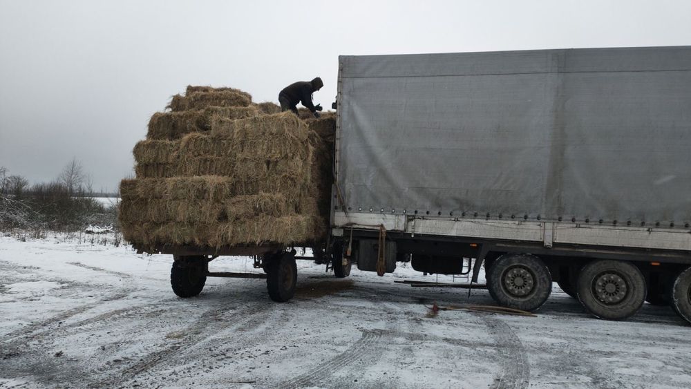 Продам сіно в тюках, власник. Самовивіз.  Доставка сіна.