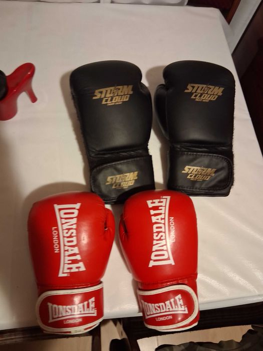 Rekawice bokserskie 12 i6