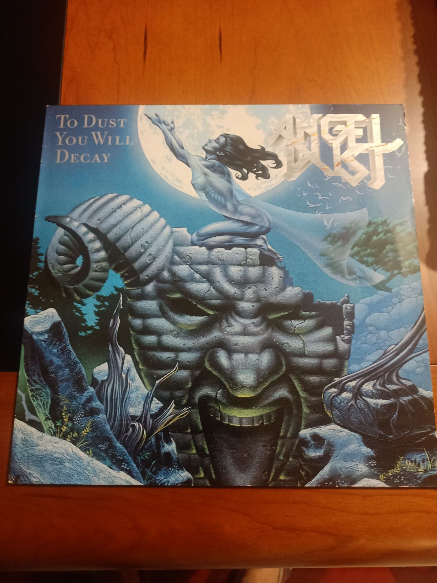 Disco vinil Angel Dust