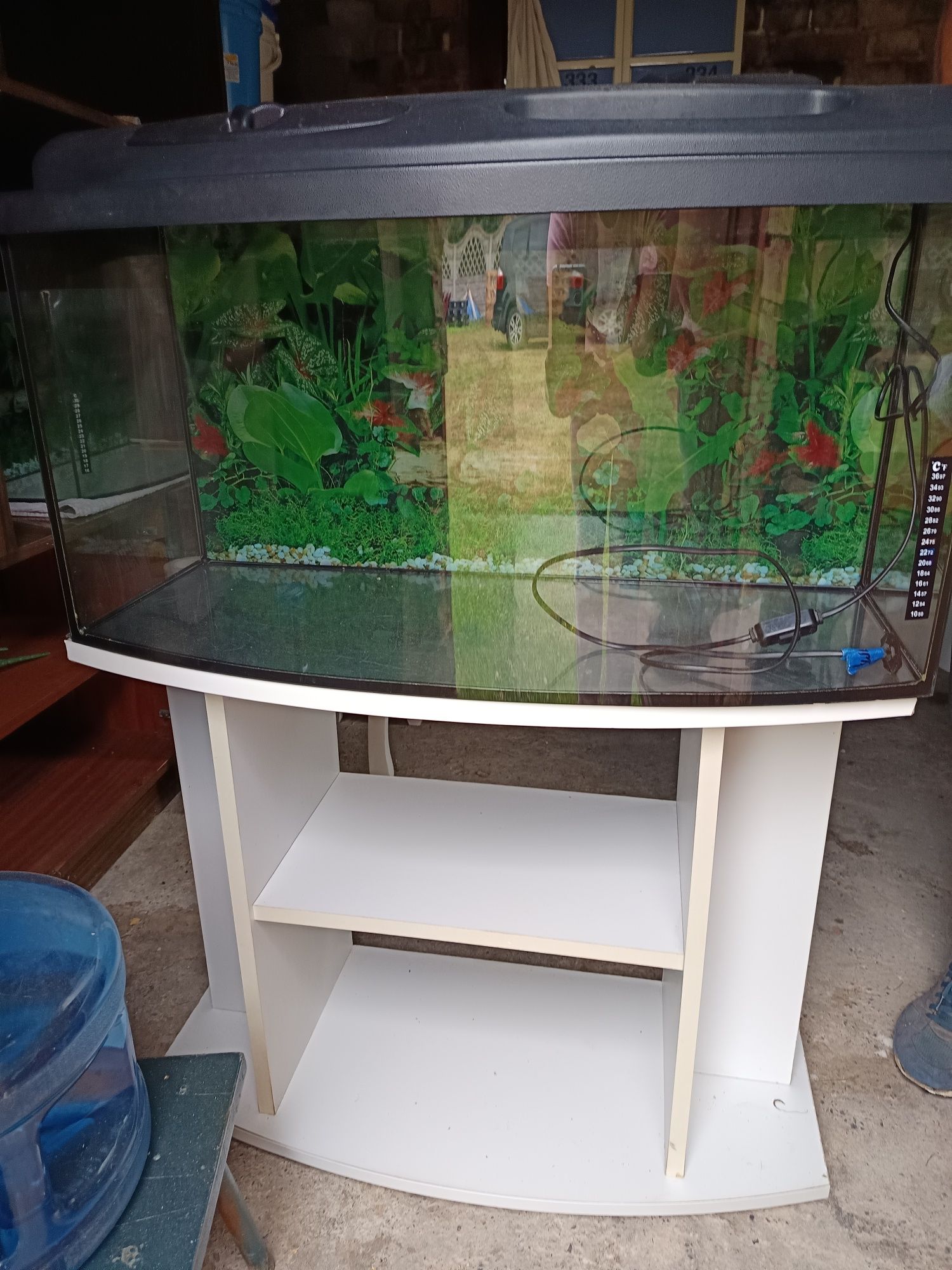 Akwarium 80x40x35