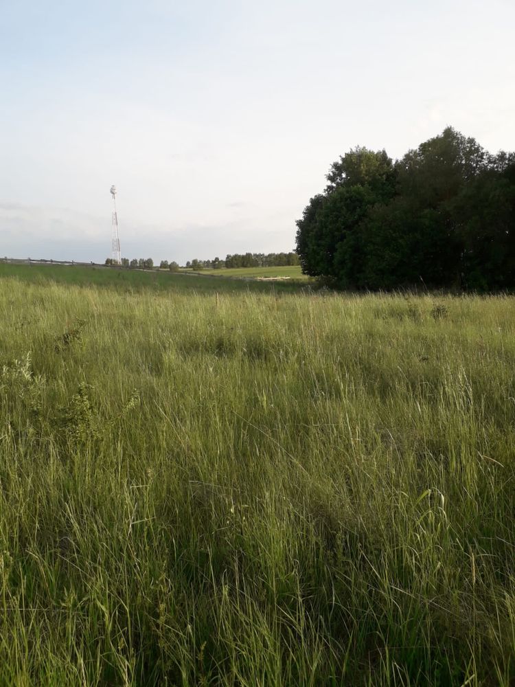 Działka w Linowie na Mazurach