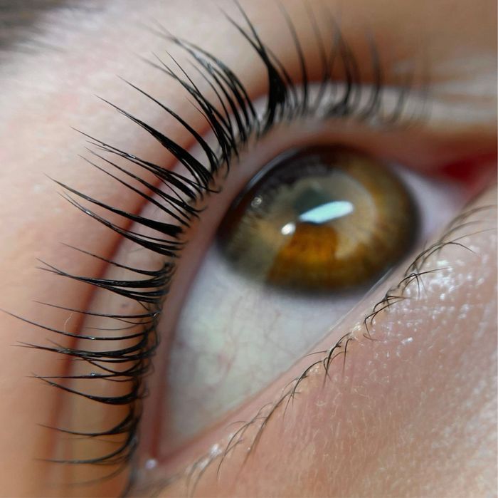 Ламінування Фарбування Корекція вій та брів Борщагівка Кучера 3