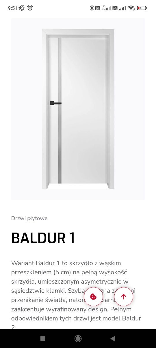 Baldur 1 z ościeżnicą regulowaną 80'Prawe