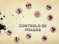 Controlo de pragas