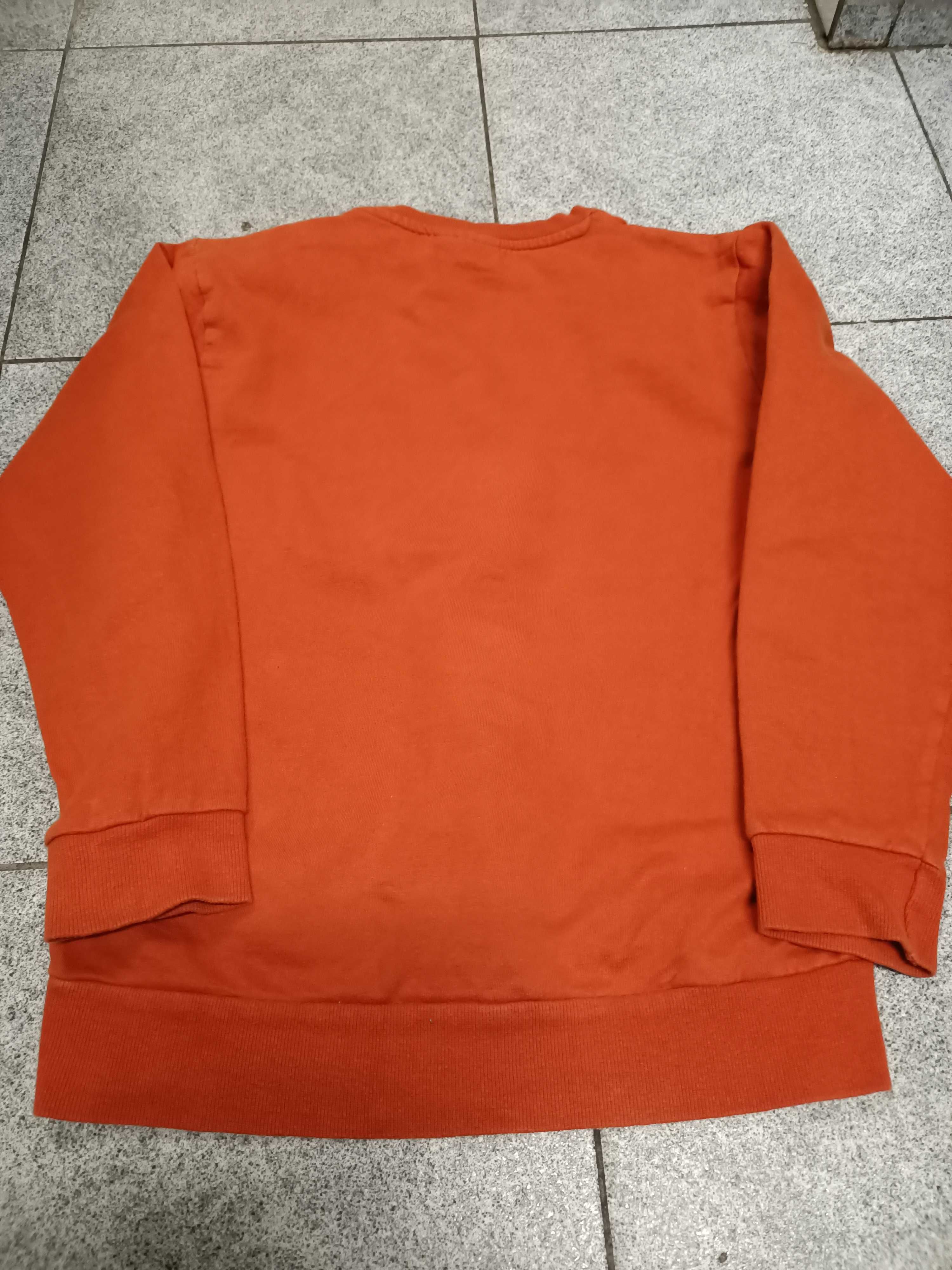 BLUZA dla chłopca na wzrost 146/152 cm